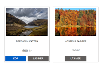 Köp och Läs Mer knappar