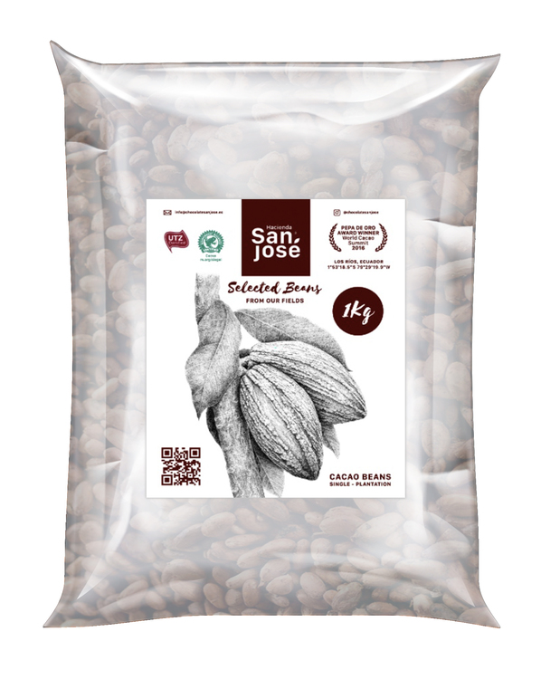 Hacienda San José Cacao Beans (1kg / 5kg / 25kg)