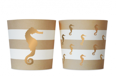 Food cups - Preppy Seahorse