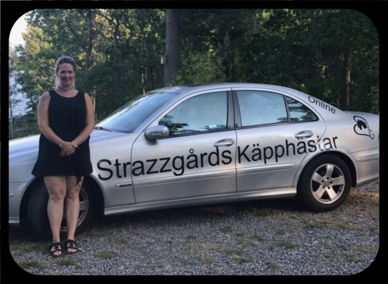 Strazzgårds käpphästar