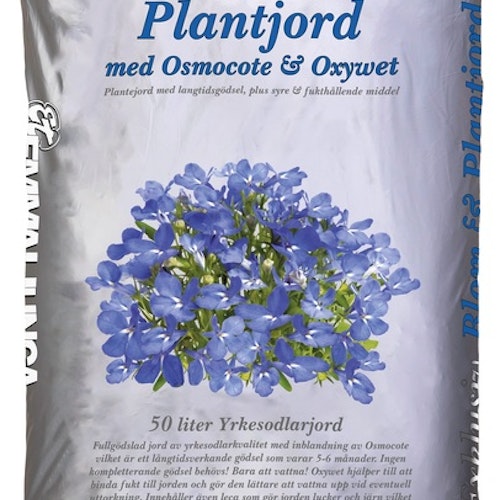 Blom & Plantjord