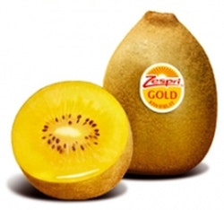 Kiwi  `Golden Kiwi´-  Actinidia  deliciosa `Golden Kiwi´