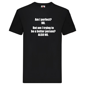 T-Shirt - Am I perfect? NO