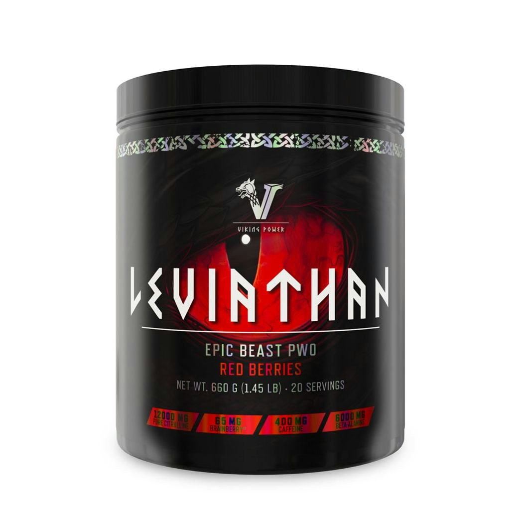 VIKING POWER PWO - Leviathan