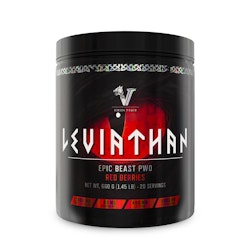 VIKING POWER PWO - Leviathan