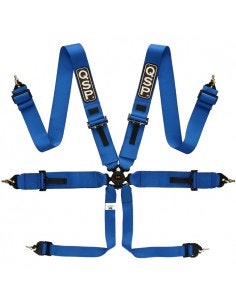 QSP 6-point harness Pro Plus FIA