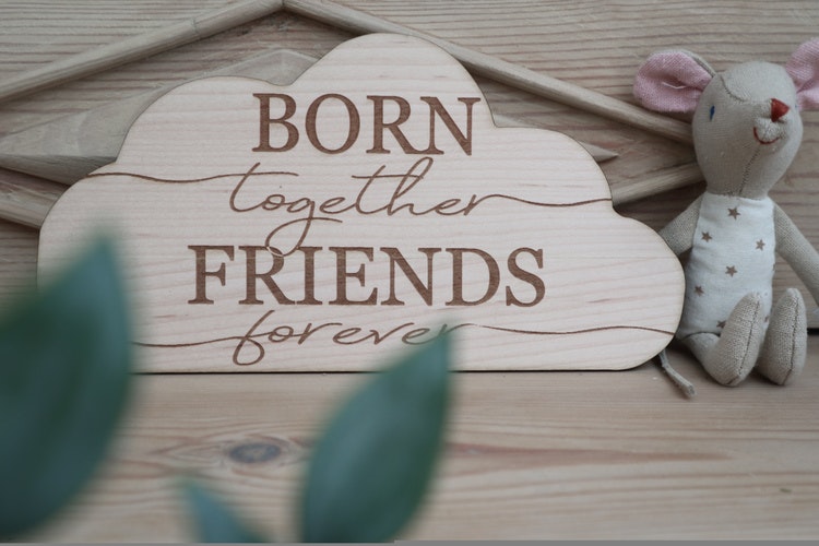Moln "Born together, friends forever"