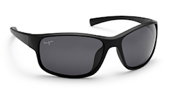 Bristol Black Polarized