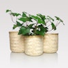 Plant pot in three sizes made from light natural bamboo with plastic inner bag, making them waterproof.
