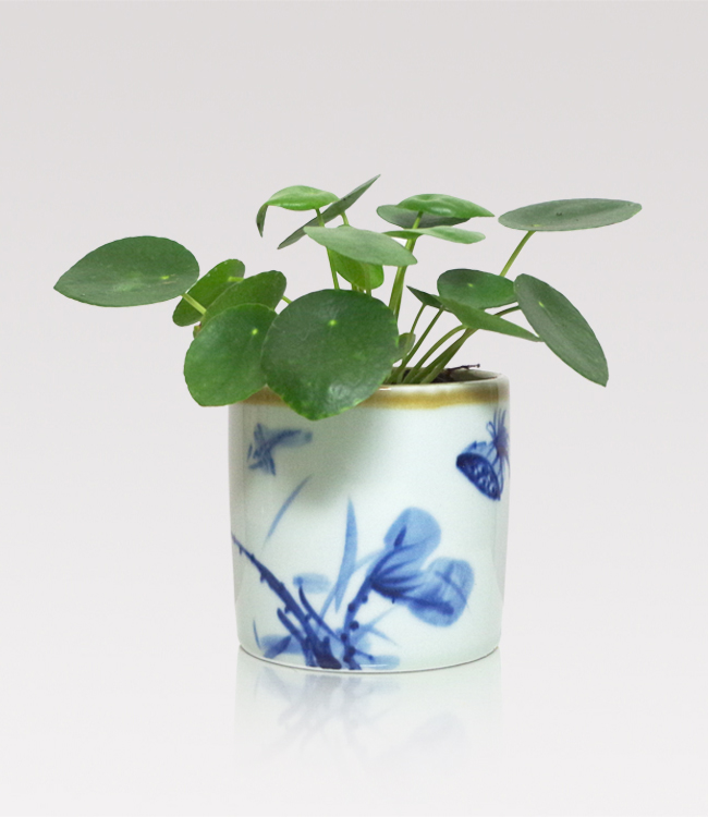 Porcelain planter