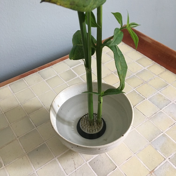 Ikebana kenza flower holder 3,4cm