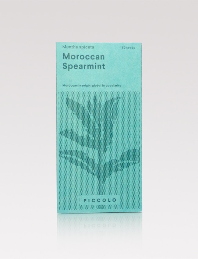 Moroccan mint
