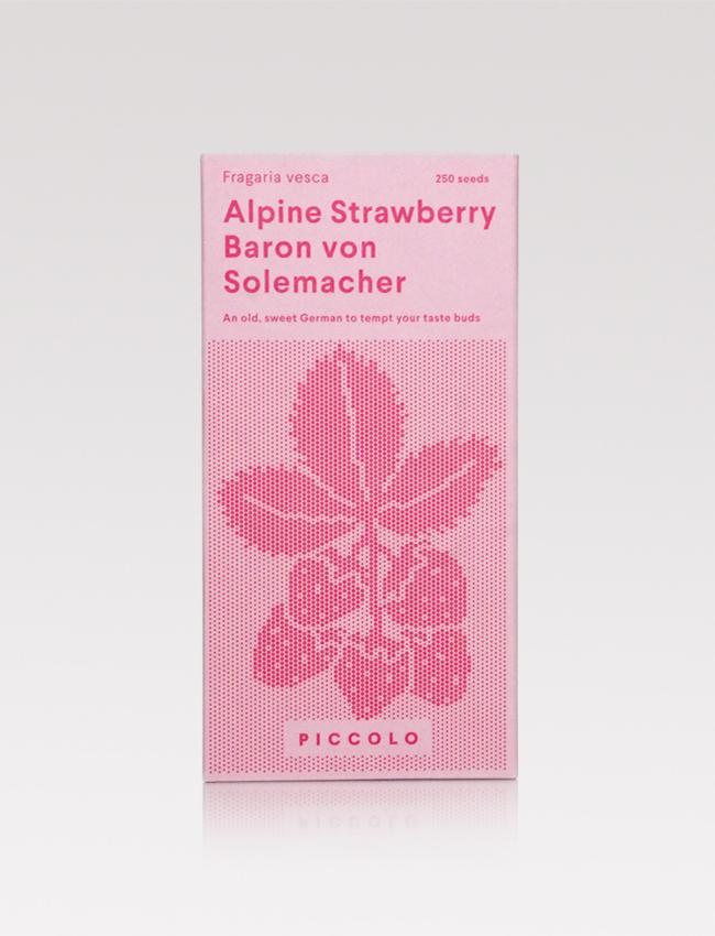 Baron von Solemacher alpine strawberry