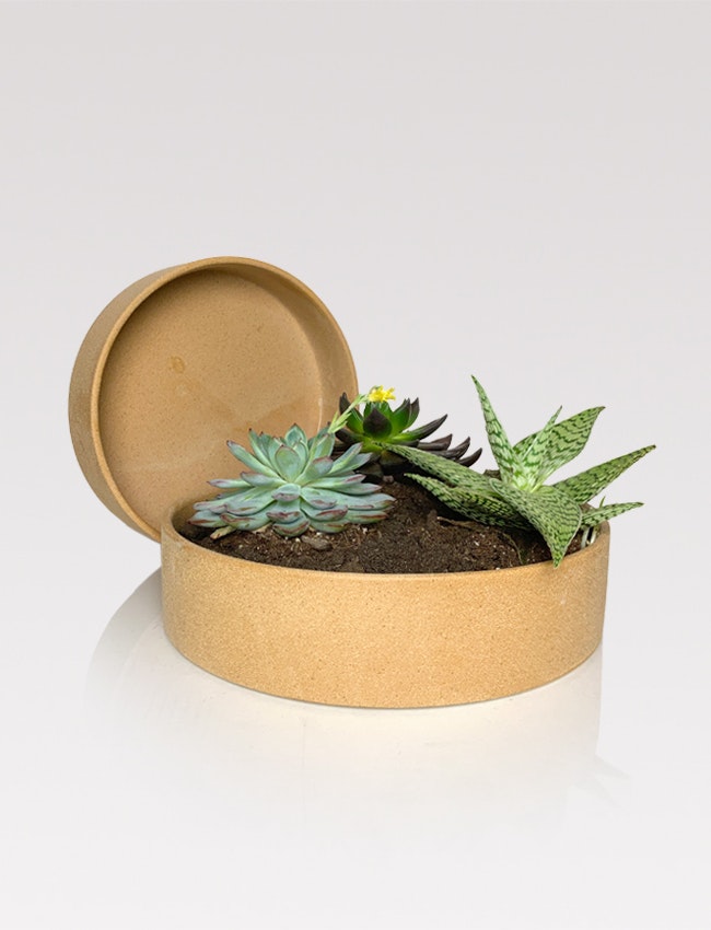 Ceramic low planter