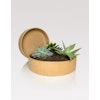 Ceramic low planter