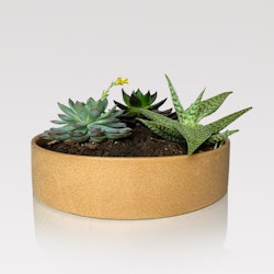 Ceramic low planter