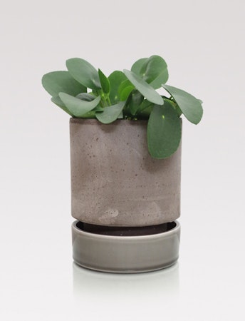 Handmade terracotta pot