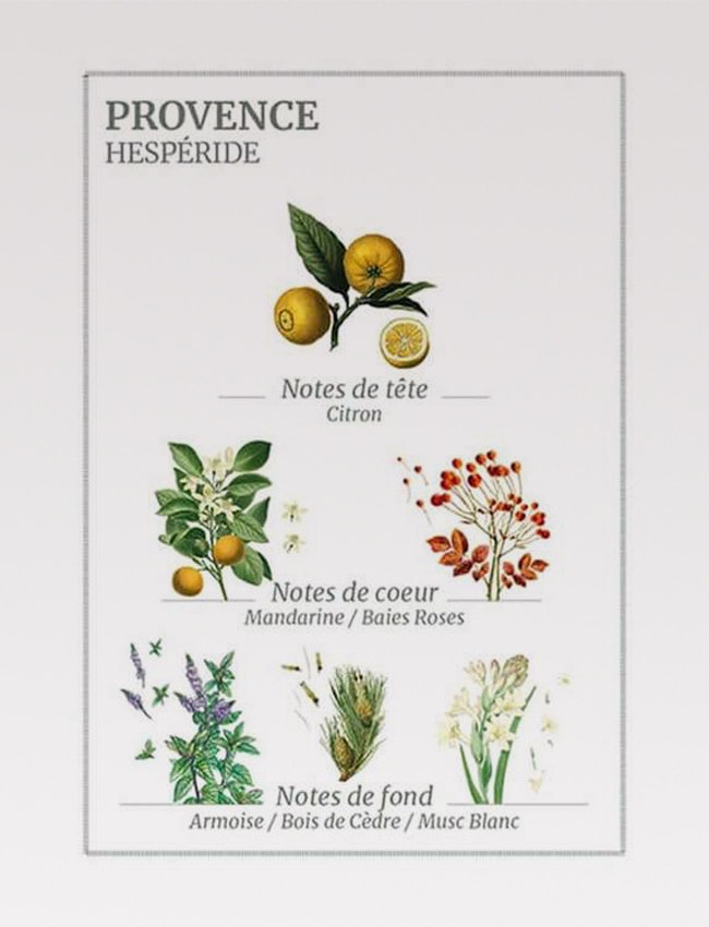 Refill Provence handwash