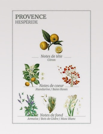 Soothing Provence hand gel