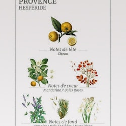 Soothing Provence hand gel