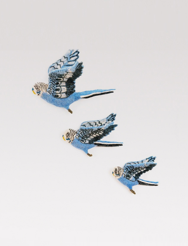 Flying blue budgie trio