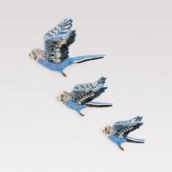 Flying blue budgie trio
