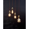 E27 G95 Vintage gold dimmable