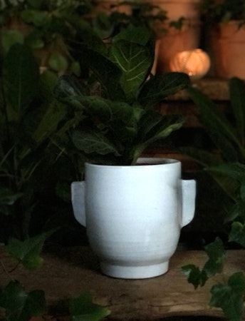 Terracotta pot