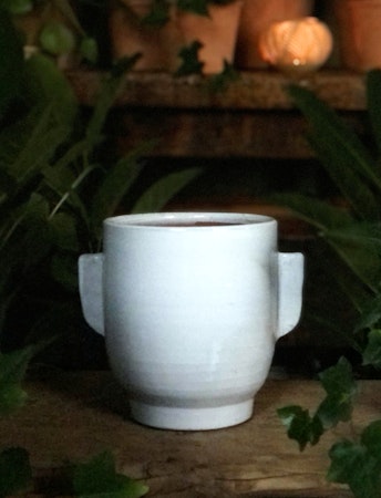 Terracotta pot