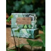 Lily of the Valley soap