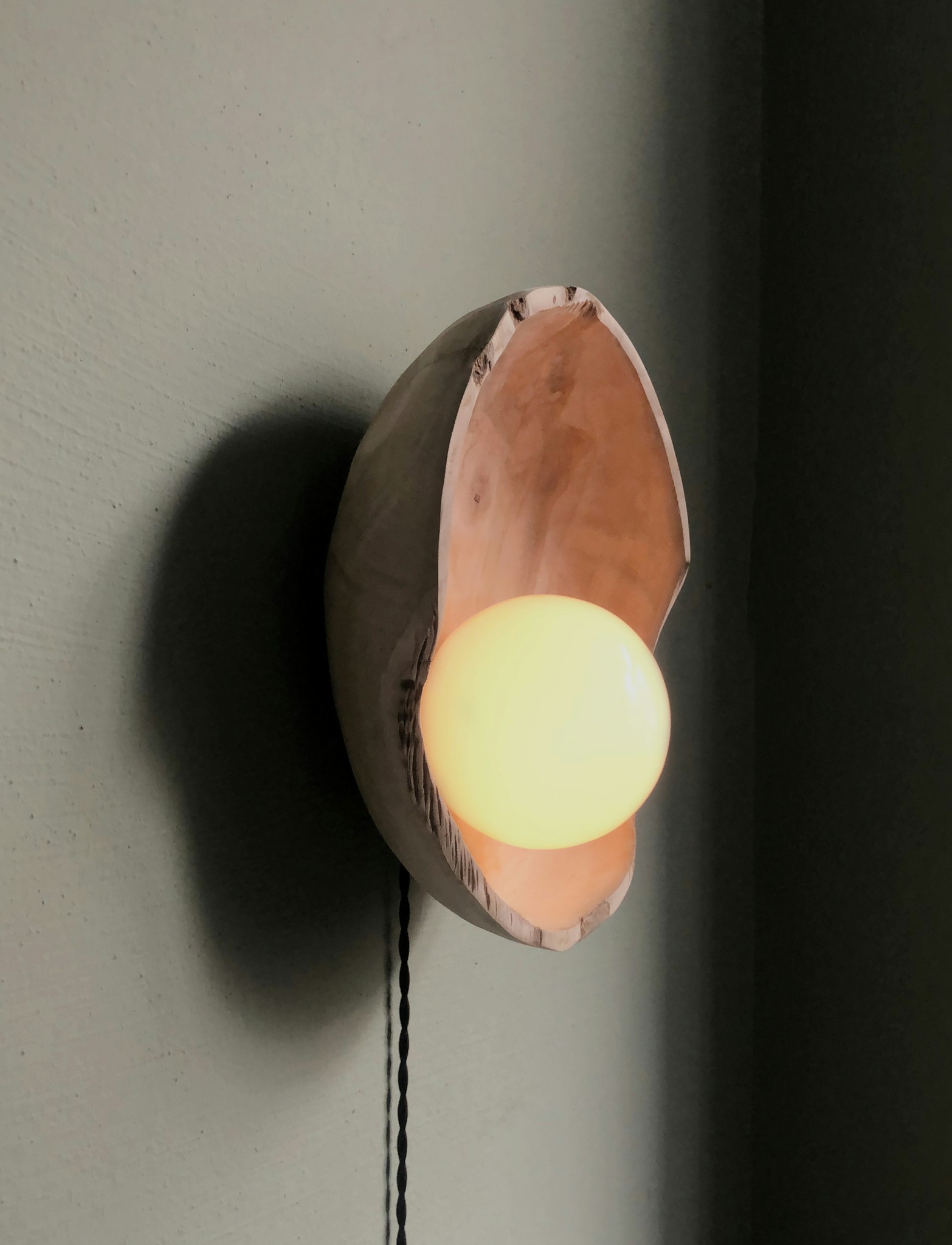 Raw wooden bowl lamp