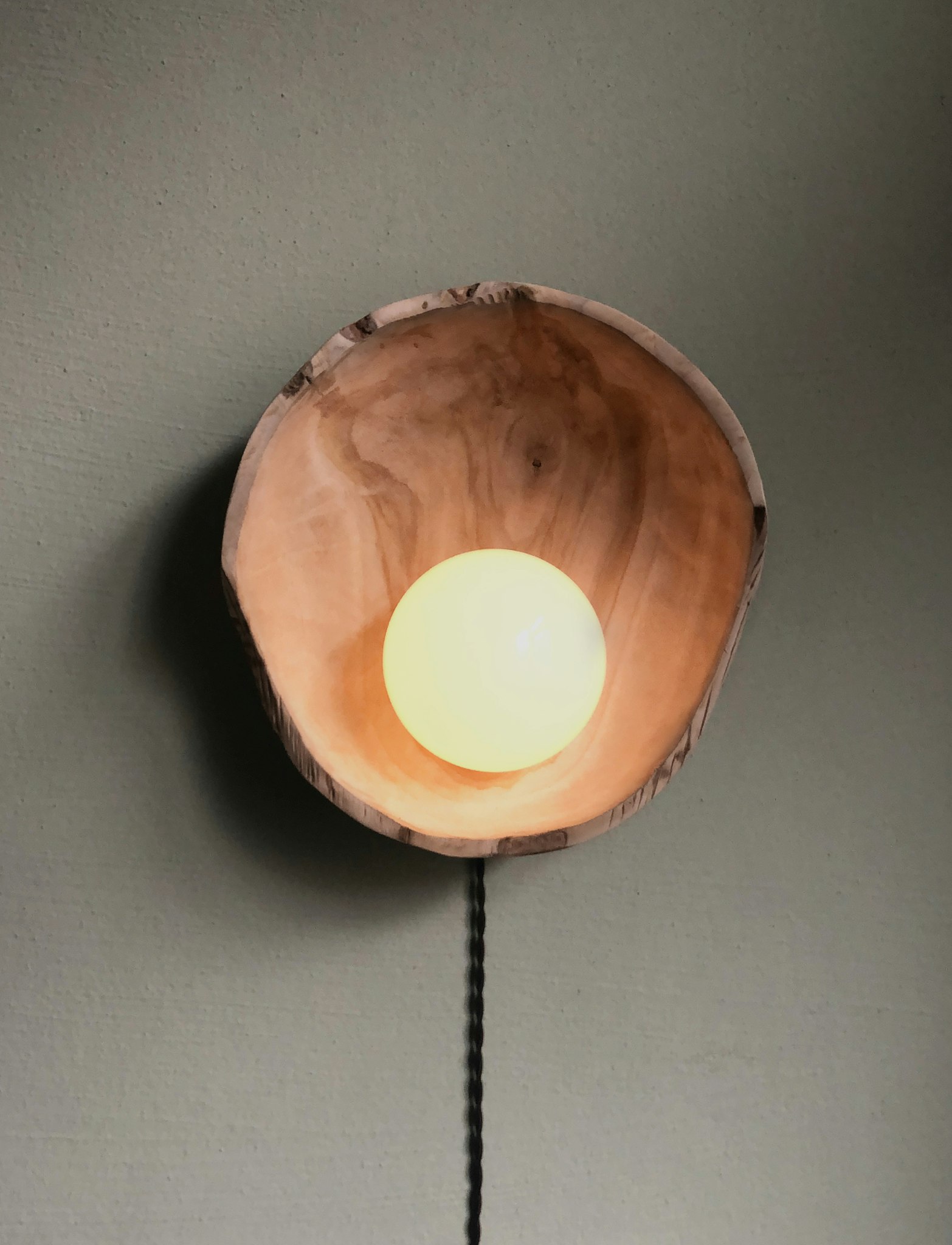 Raw wooden bowl lamp