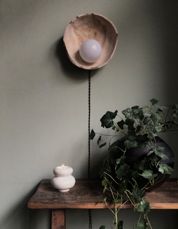 Raw wooden bowl lamp
