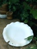 Lotus leaf plate