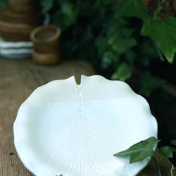 Lotus leaf plate