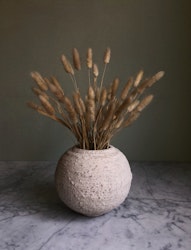 Terracotta pot/vase