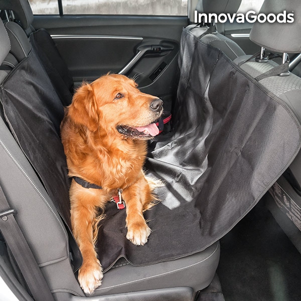 Bilskydd och bilmatta för husdjur