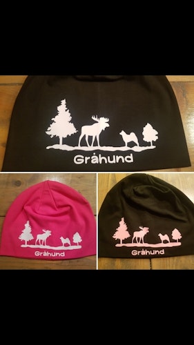 Gråhund barn