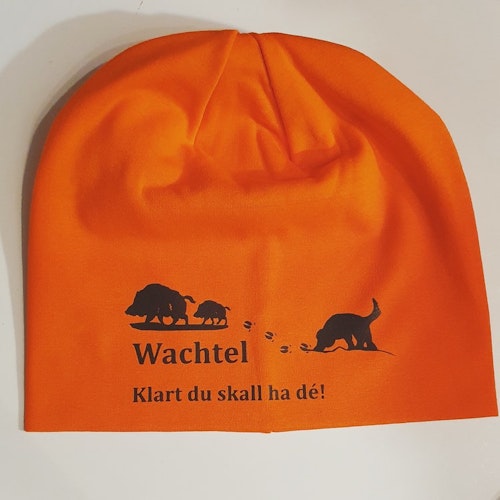 Wachtel