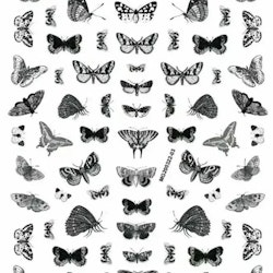 Nail sticker xl fjärilar grå