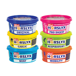 Slicksten, 650g, Horslyx