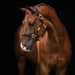 Nylongrimma, ponny-full, HS Equestrian Life