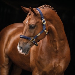 Nylongrimma, ponny-full, HS Equestrian Life