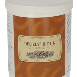 Biotin, 1 kg, Delizia