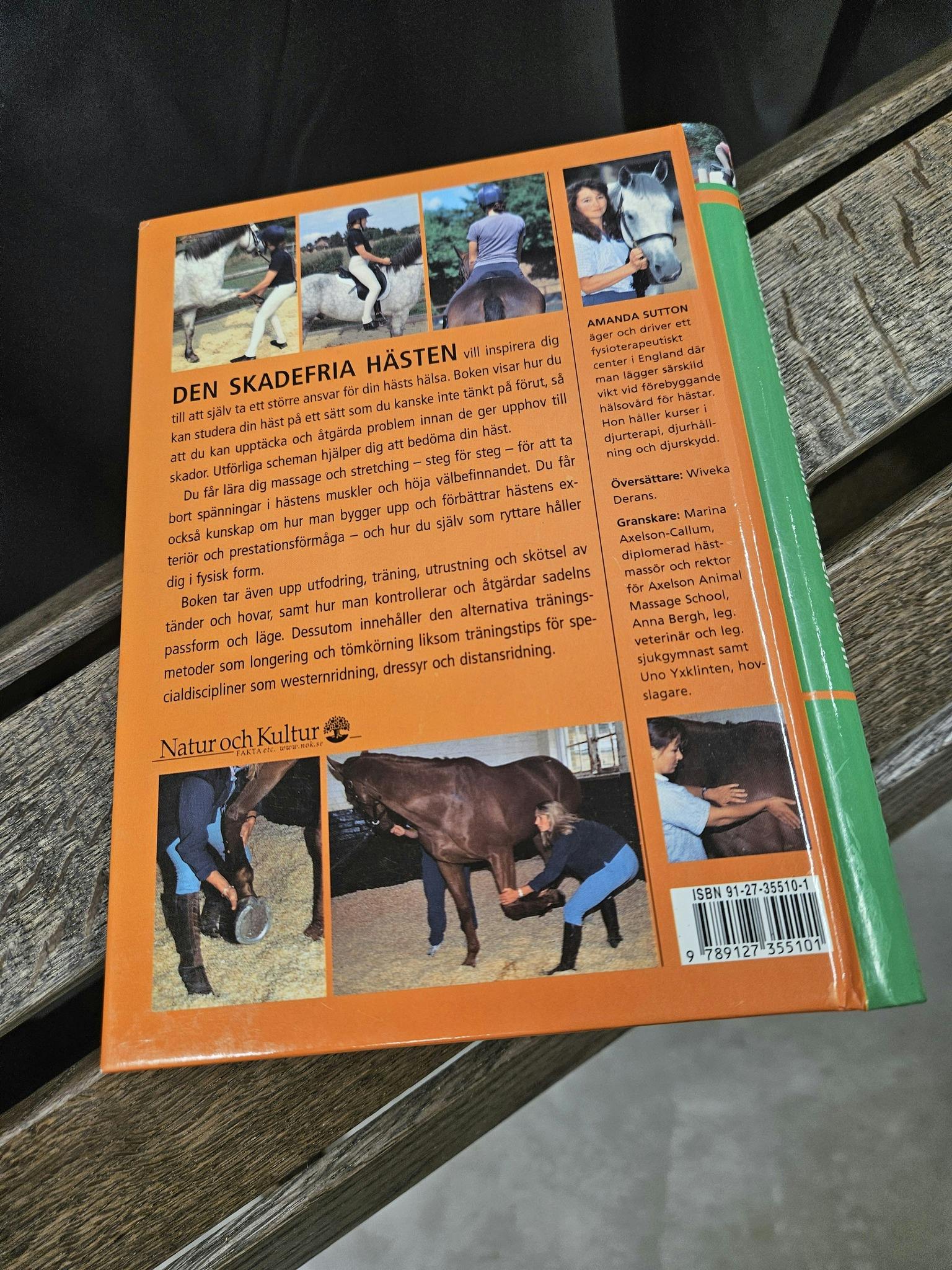 Bok: Den skadefria hästen