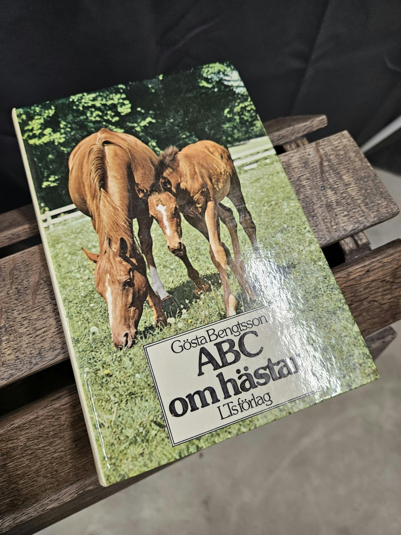 Bok: ABC om hästar, Gösta Bengtsson