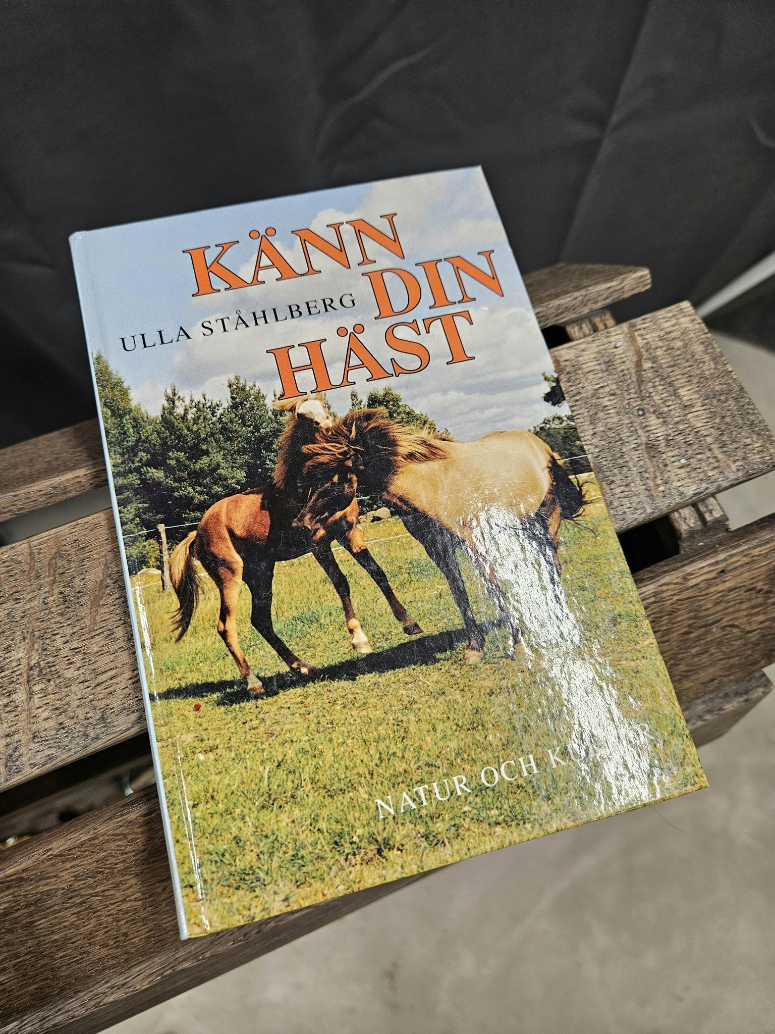 Bok: Känn din häst, Ulla Ståhlberg