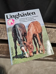 Bok: Unghästen, Åke Åsheim