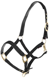 Nylongrimma, ponny-xfull, Covalliero TopLine