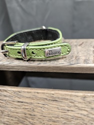 Halsband, 20 cm, Hunter
